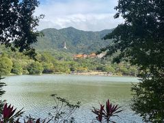 -深圳仙湖植物园