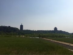 iphone_upload_pic-永定河休闲森林公园