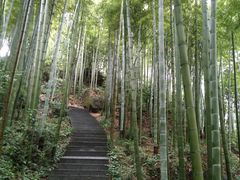 -山沟沟景区