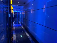 -温莎KTV(珠江路店)