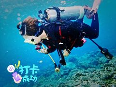-绿岛环岛公路