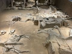 -洛阳周王城天子驾六博物馆