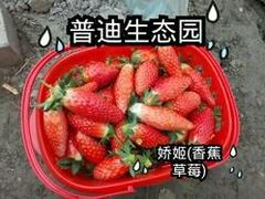 -普迪生态园