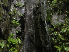 -藏龙百瀑风景区