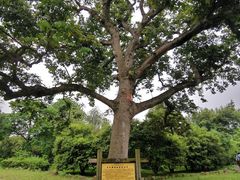 -福建鲤鱼洲酒店