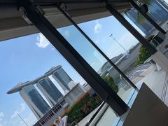 -新加坡文华东方酒店