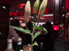 -花马天堂云南餐厅 Lost Heaven(外滩店)