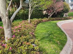 -常熟路(地铁站)