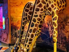 -上海海洋水族馆