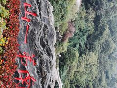 -黔灵山公园