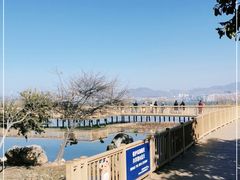 -洱海月湿地公园