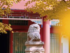 -北京石刻艺术博物馆(五塔寺)