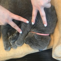 -EasyLady美甲沙龙