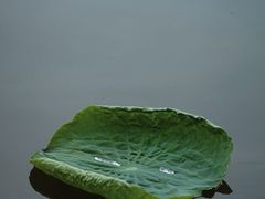 -济南大明湖景区