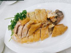 湛江鸡-陈记粤湛鸡饭店