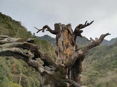-龙湾潭国家森林公园