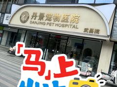 -丹景宠物医院·全科·老年病·牙科(武昌诊疗中心)