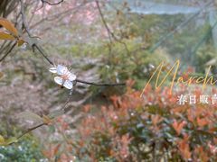 -黔灵山公园