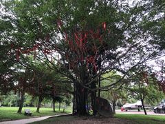 -红色娘子军纪念园