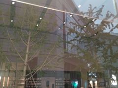 -Apple零售店(华贸购物中心店)