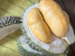 黑刺-榴莲BB 四季果园