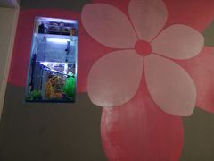 -厦门燕子坞客栈