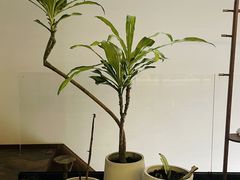 -三间愈舍·Triple Spa(重庆IFS国金中心店)