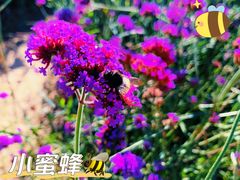-百里山水画廊