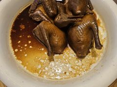 -美食小镇·观赏珍稀鸟类·长隆熊猫酒店