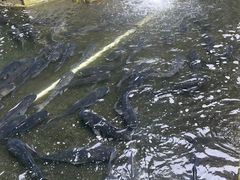 -上海天目湖宾馆-停车场