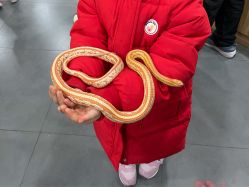 -Moni星球萌宠·小马宝莉·灵蛇·高端高阶全萌宠互动体验俱乐部(红豆国际广场店)