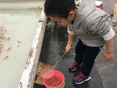 -白塘生态植物园