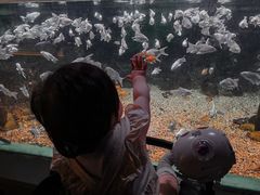 -常州海昌海洋探索馆