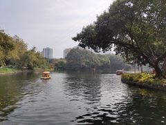 -晓港公园