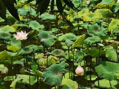 -功夫小龙虾·烧烤·江湖菜(金沙洲店)