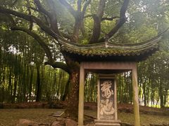 -兰亭风景区