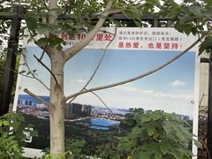 -青龙山国家森林公园