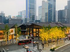 -成都尼依格罗酒店