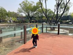 -ADA自然水景世界