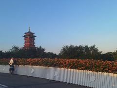 -厦门园林博览苑