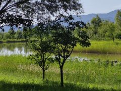 -野鸭湖国家湿地公园