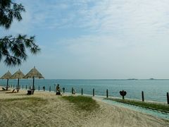 -北海金海湾红树林生态旅游区