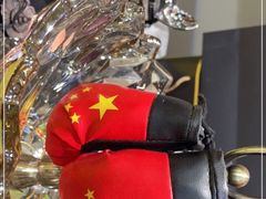 -大焱搏击·泰拳·拳击俱乐部(大柏树店)