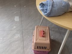 -瑞鹏宠物医院·骨科·猫科·内科(第一中心)