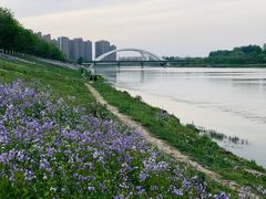 -大家乐东北菜(富河园店)