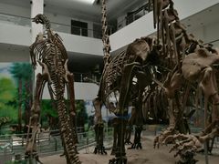 -中国地质大学逸夫博物馆