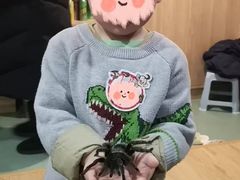 -藦茜花园宠物主题亲子互动体验馆(国顺东路店)