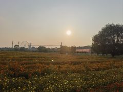 -花博汇(知音花月夜)