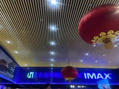 -农垦博纳国际影城(津奥广场IMAX店)