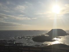 -企鹅岛